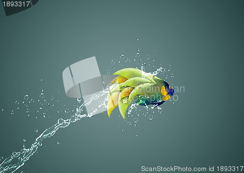 Image of Angelfish jumping