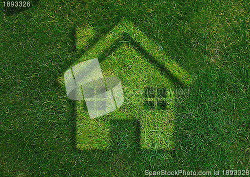 Image of Green home green world. 