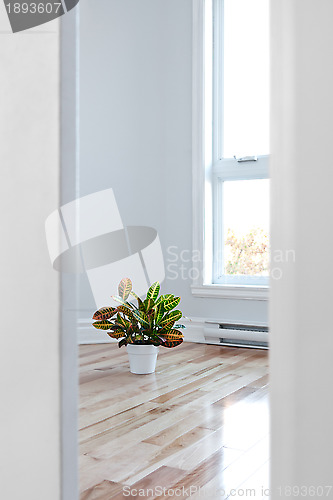 Image of Bright room seen through the doorway