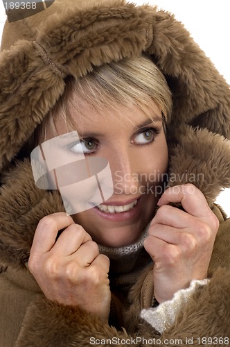 Image of fur