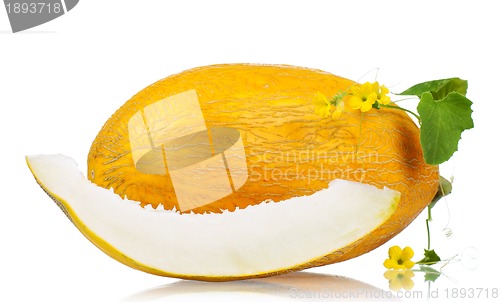 Image of Cantaloupe melon