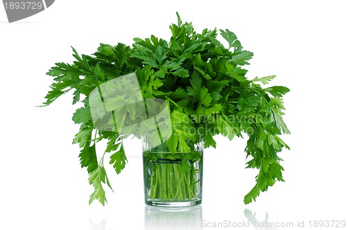 Image of Fresh parsley