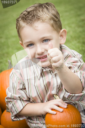 Image of Cute Young Child Boy Enjoying the Pumpkin Patch.