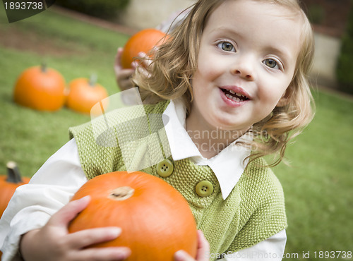 Image of Cute Young Child Girl Enjoying the Pumpkin Patch.