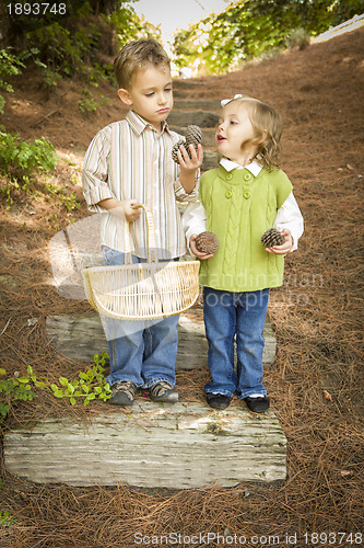 Image of Two Children with Basket Collecting Pine Cones Outside