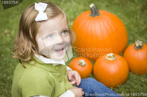 Image of Cute Young Child Girl Enjoying the Pumpkin Patch.