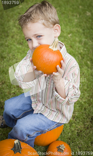 Image of Cute Young Child Boy Enjoying the Pumpkin Patch.