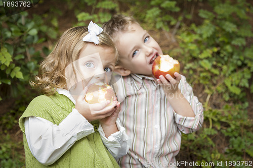 Image of Adorable Brother and Sister Children Eating Apples Outside