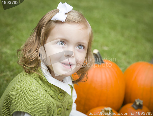 Image of Cute Young Child Girl Enjoying the Pumpkin Patch.