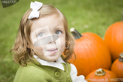 Image of Cute Young Child Girl Enjoying the Pumpkin Patch.