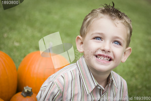 Image of Cute Young Child Boy Enjoying the Pumpkin Patch.