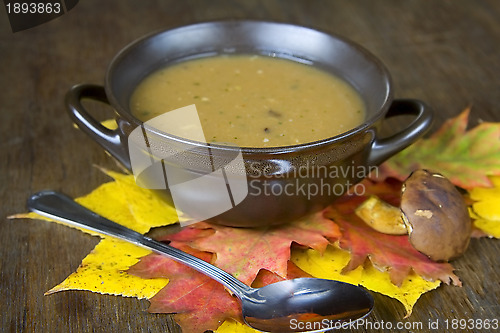 Image of Mushroom soup