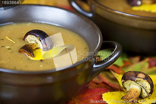 Image of Mushroom soup