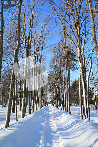Image of snow lane in town park