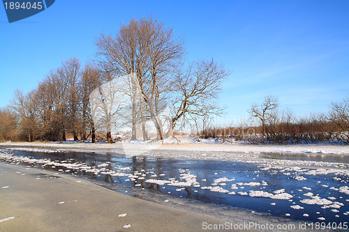 Image of oak wood on river coast