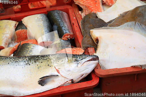 Image of big fish on rural market