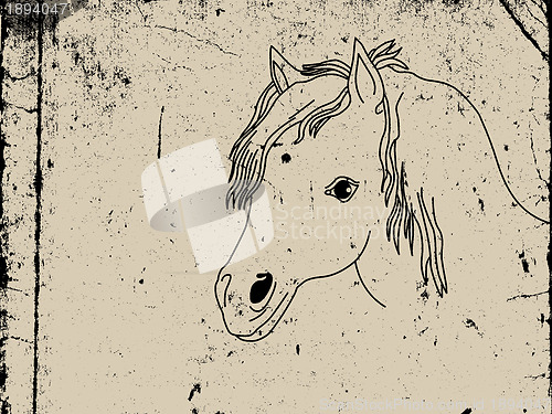 Image of foal drawing on dirty paper