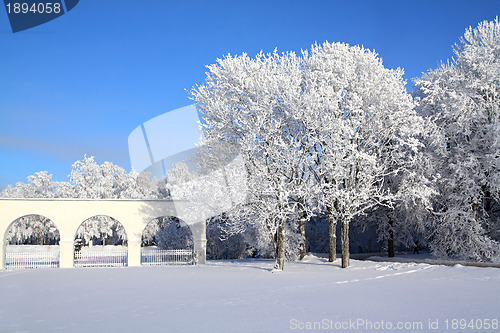 Image of tree in snow near white wall 