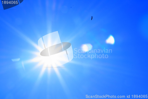 Image of blackenning bird in blue sky