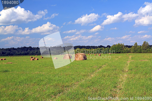 Image of stack hay on summer field 