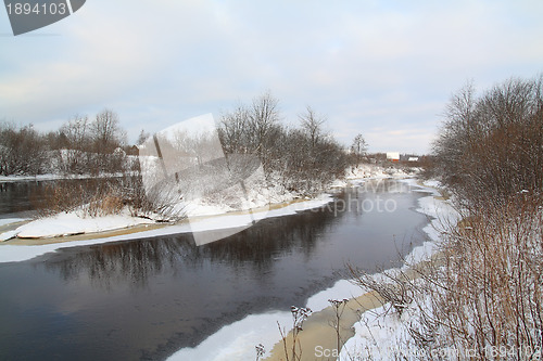 Image of small bushes on river coast