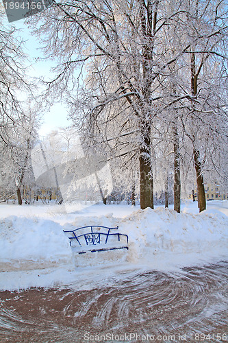 Image of wooden bench in town park