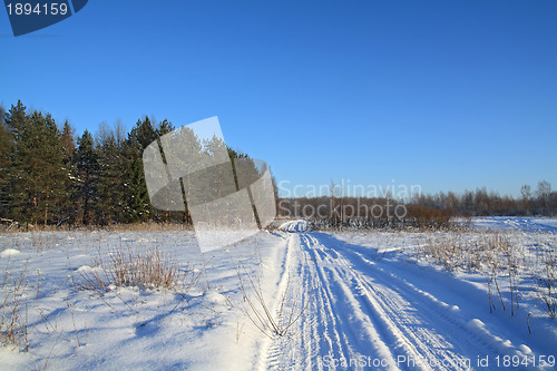 Image of snow road near pine wood