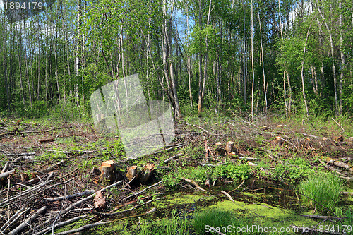 Image of chopping wood 