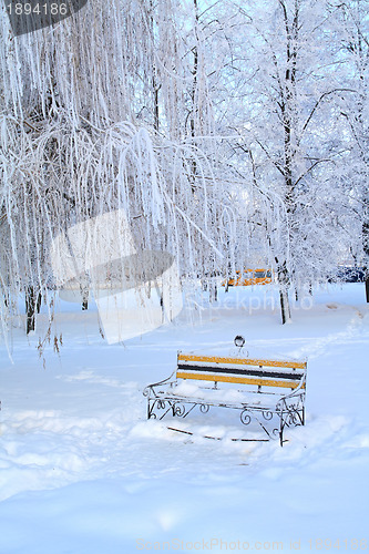 Image of wooden bench in town park