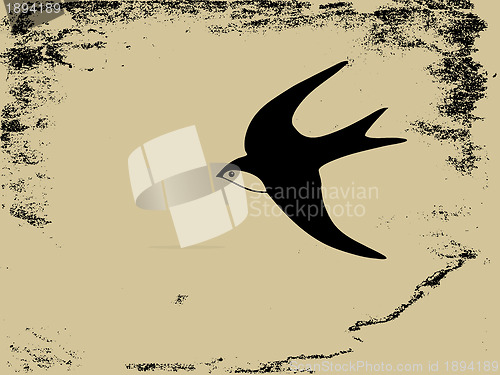 Image of swallow silhouette on  grunge background