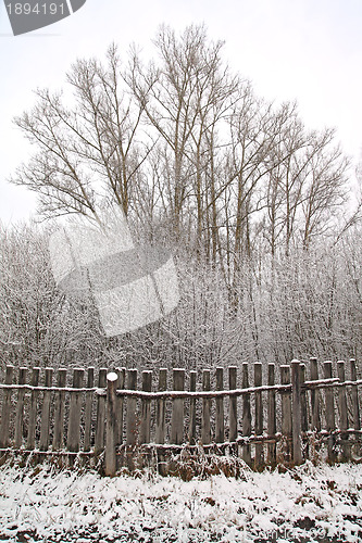 Image of old fence in winter wood