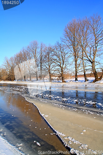 Image of oak wood on river coast