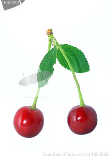 Image of ripe cherry on white background