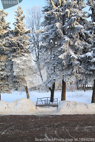 Image of wooden bench in town park