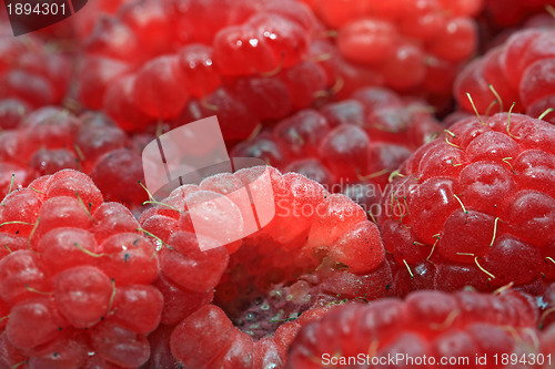 Image of red ripe raspberry