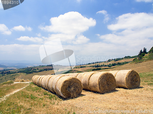 Image of Panoramic views of the Tuscan-Emilian Apennines