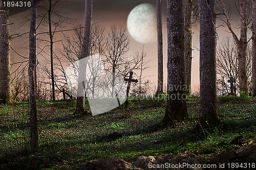 Image of 	Night with a full moon over the cemetery