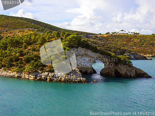 Image of Landscapre of the coast of Gargano Apulia Italy