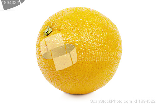 Image of 	Orange on a white background