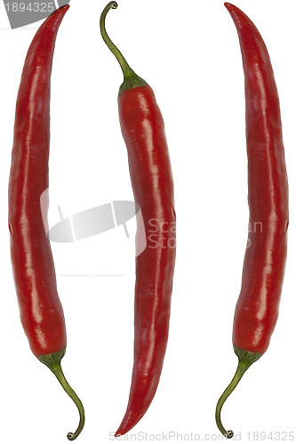 Image of 	Red chili peppers on a white background