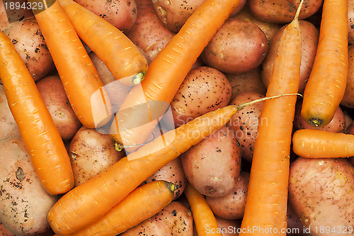 Image of 	Freshly harvested organic potatoes and carrots