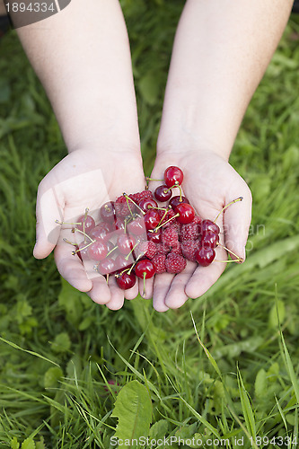 Image of 	Hands with cherries and raspberries