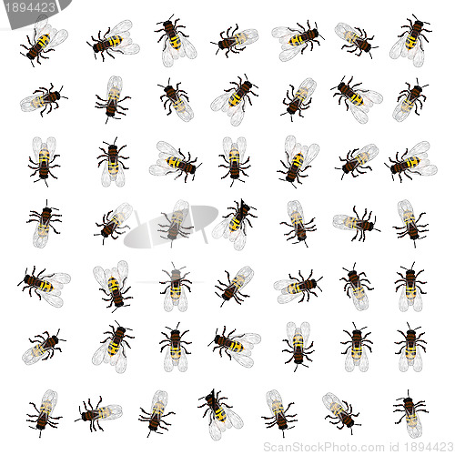 Image of Seamless bee pattern