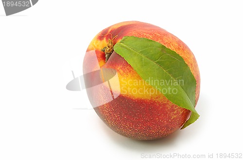 Image of Nectarine