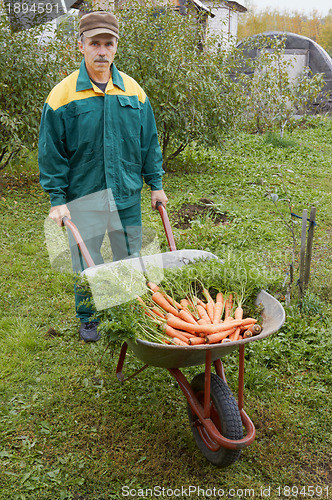 Image of Wheelbarrow with carrot