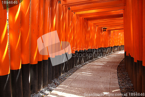 Image of Fushimi Inari, Japan