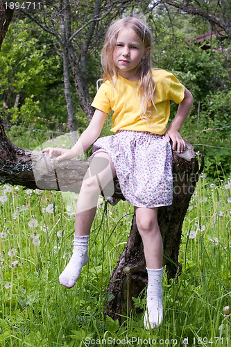 Image of summer