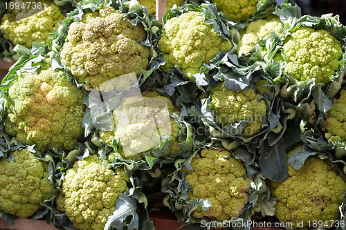 Image of cauliflower