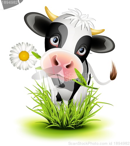 Image of Holstein cow in grass