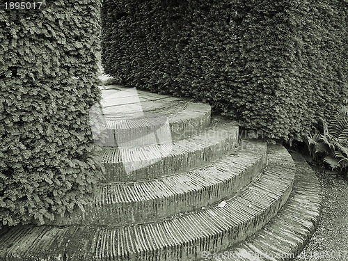 Image of Hedges and steps